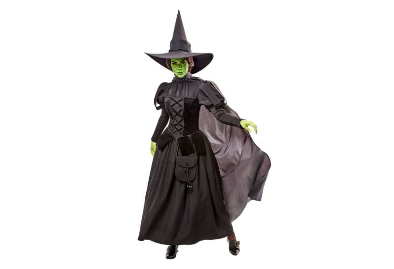 Wicked Witch Costume Adult