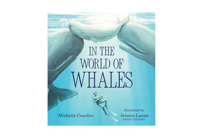 in the world of whales book