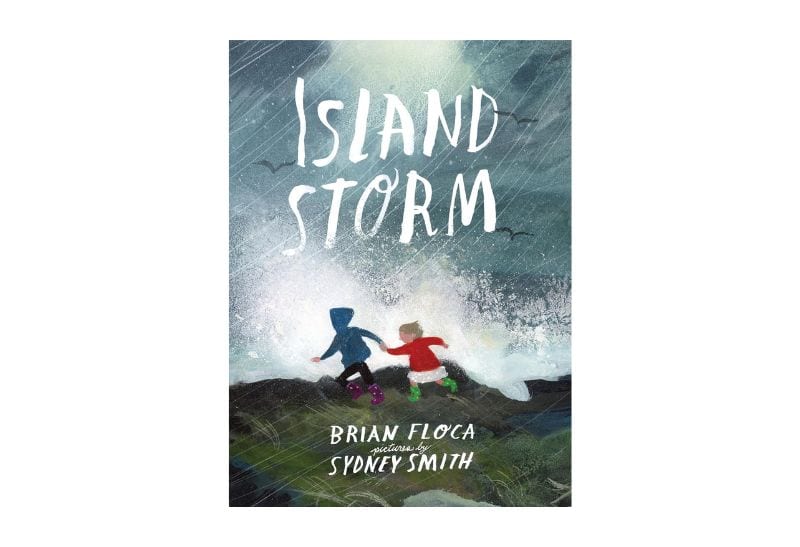 Island Storm book