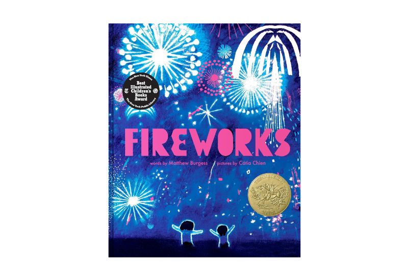 fireworks catia chien