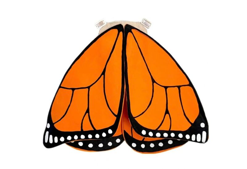 Monarch Wings